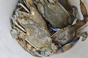 IMG_20260621_125636